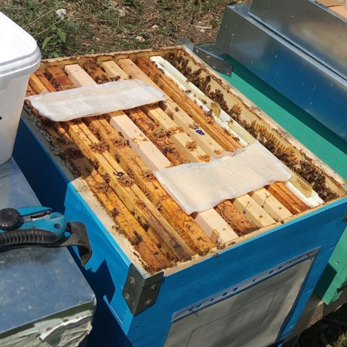 Strisce di MAQS medicinale veterinario in strisce di gel a base di acido formico antivarroa per apicoltura